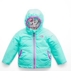 The north face reversible jacket